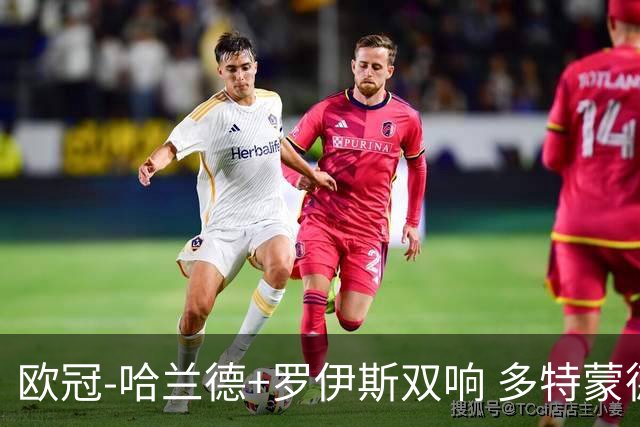 欧冠-哈兰德+罗伊斯双响 多特蒙德5-0大胜进欧联